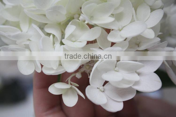 Reasonable price crazy selling decorative supplies white hydrangea