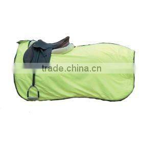 Horse Exercise Sheet