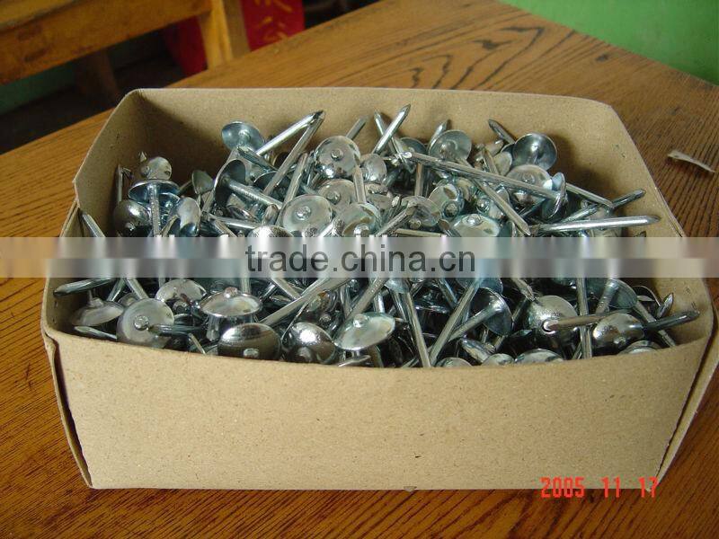 Galvanized Umbrella Head construction roofing wire nails