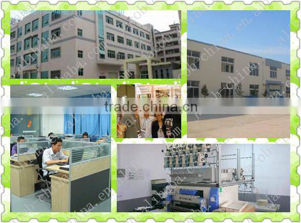 Wire Rope Digital Tension Meters in Testing Equipment(JH)