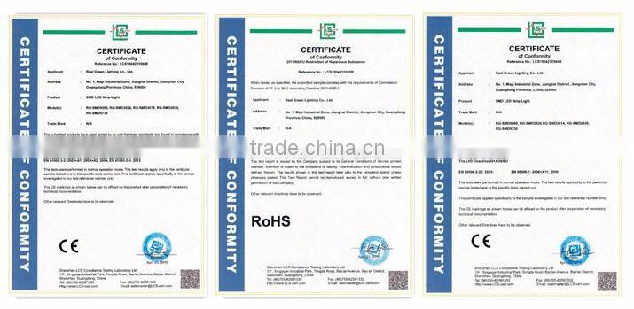 Hot sales 220V Crystal Blue LED Rope Light