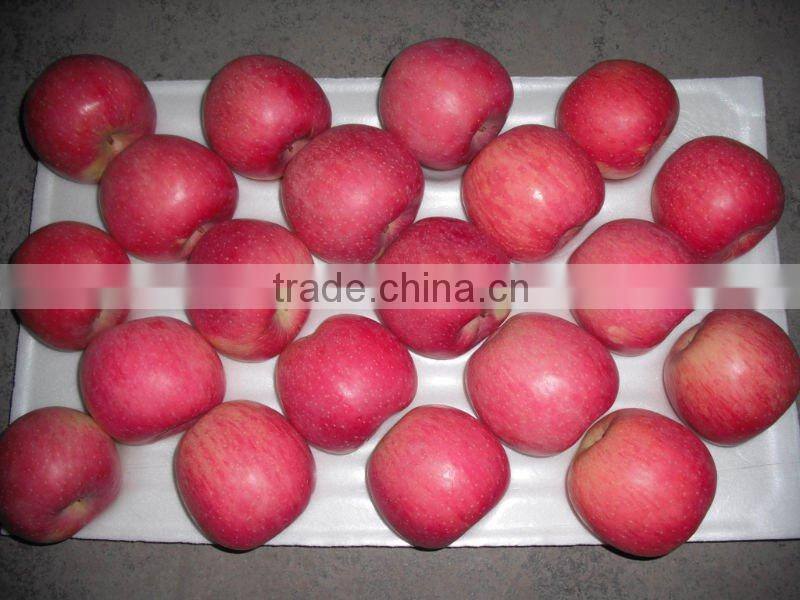 Fuji apple fruit
