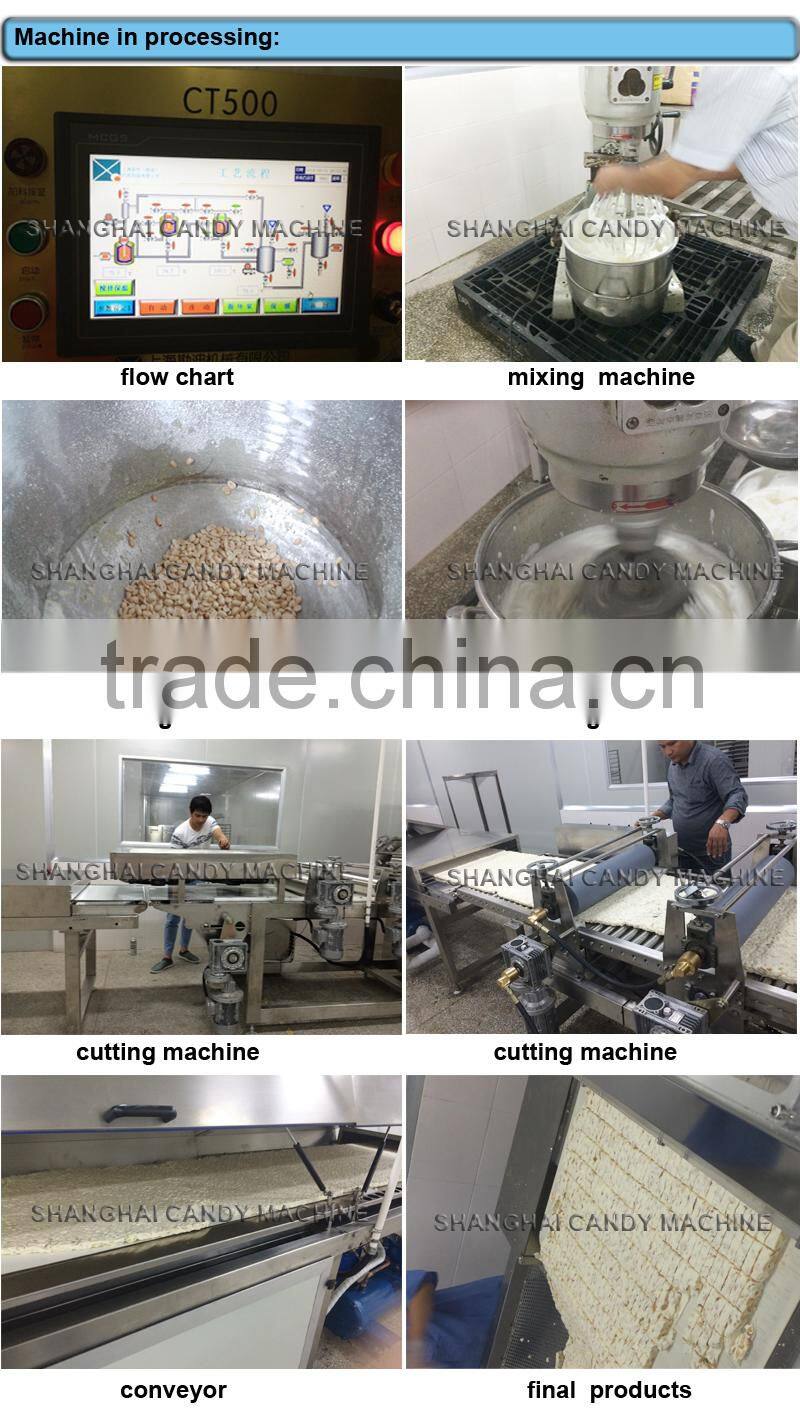 NZ300/600 Peanut Nougat candy cutting machine