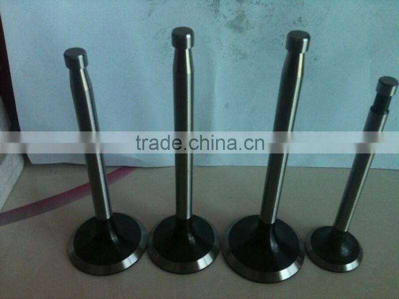 Hebei Factory Farm Tractor Parts Diesel Engine Valve/Valve for Diesel Engine