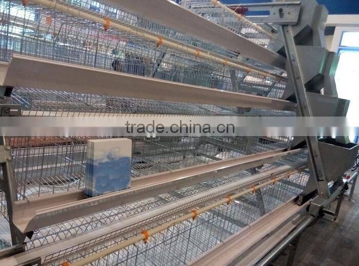 Steel galvanized chicken laying cage with auto drinker and feeder