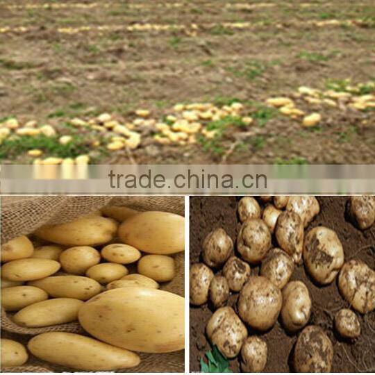 ANON Tractor Mounted Potato and onion Harvester