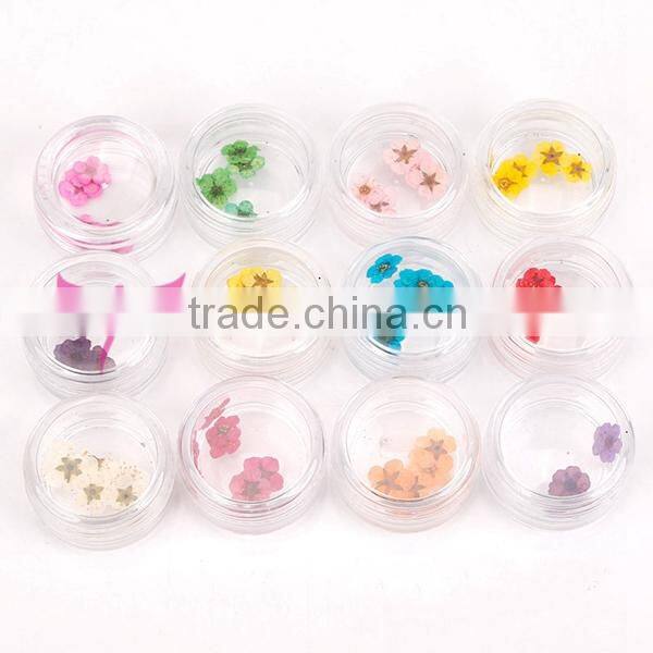 12 colors jar nail dry flower set,big nail art dry flower