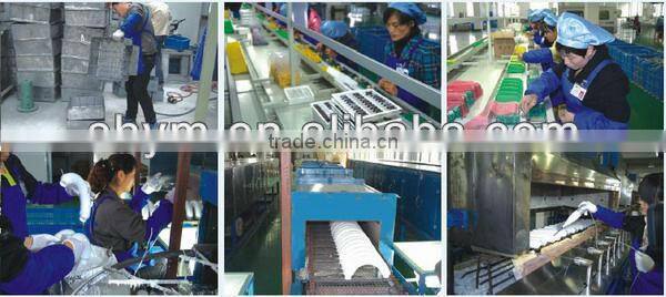 Acorn lamp induction 40-200W courtyard bulb 100w e27