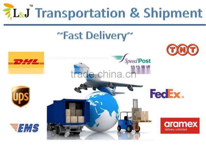 Free Delivery For APOLLO golden rod locator