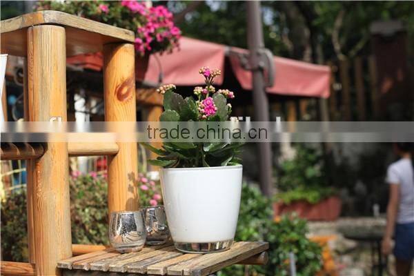 patented product flowersea Viola flower pot wholesale plant pot for sale