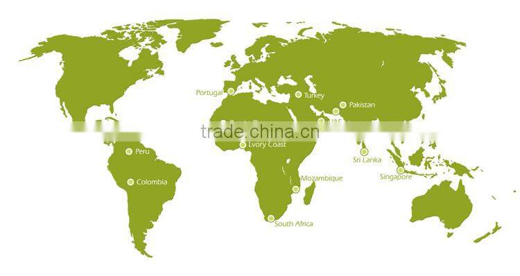 Chip GPS Locator for Lone Worker