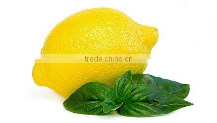 Lemon Oil/ Lemon Essential Oil/ Lemon Oil Bulk