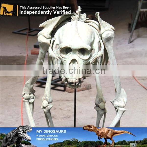 MY Dino-C077 Life size dog skeleton for decoration