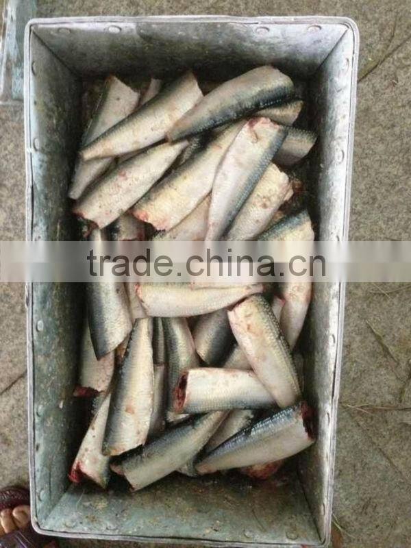 8-10pcs/kg HGT Frozen Sardine for Canning