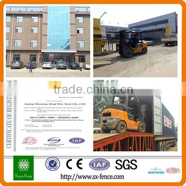 China supplier Ornamental Iron Fence Points hog wire fence panels