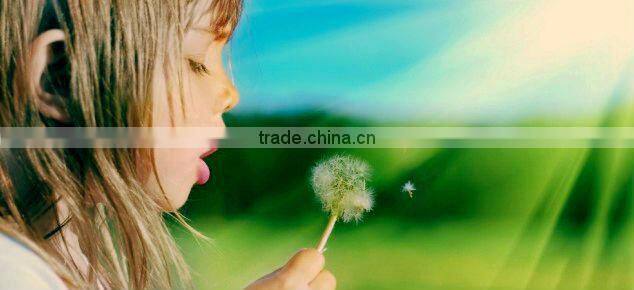 Indoor rock climbing cricket golf playground equipment