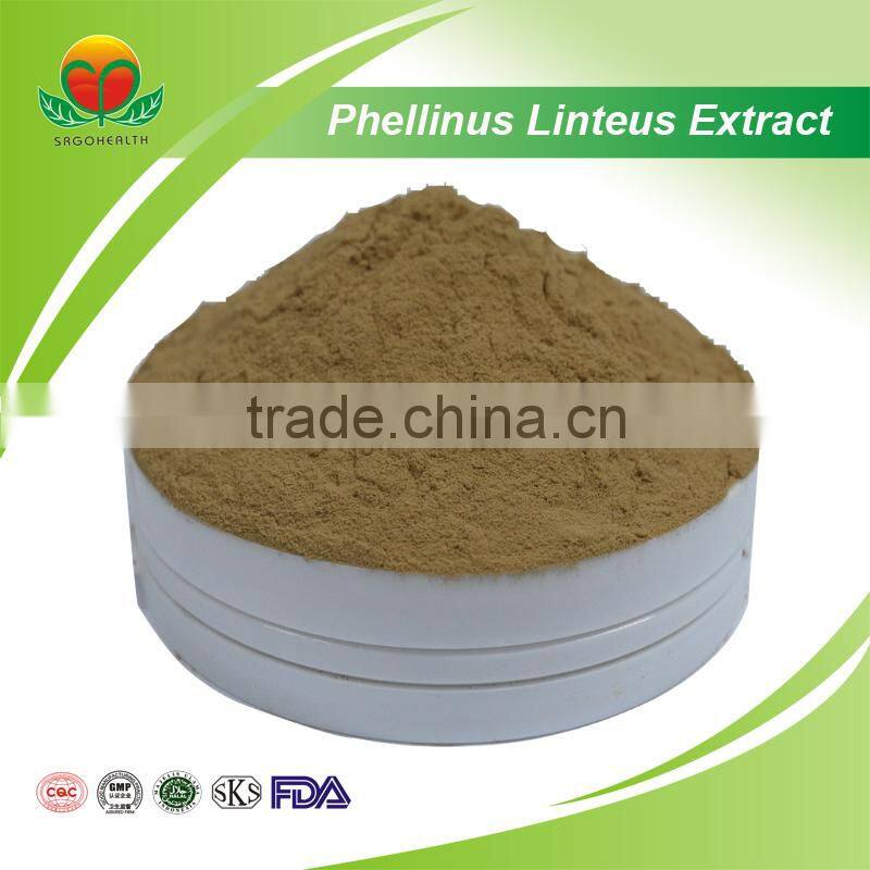 Most Popular Phellinus linteus Extract