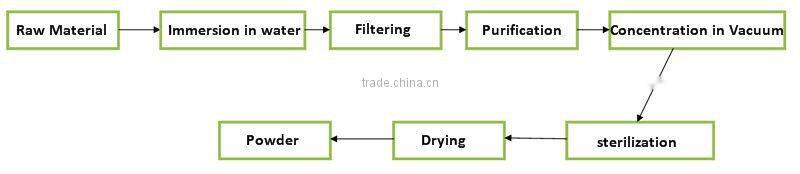 GMP factory supply high quality Grape Seed Extract powder