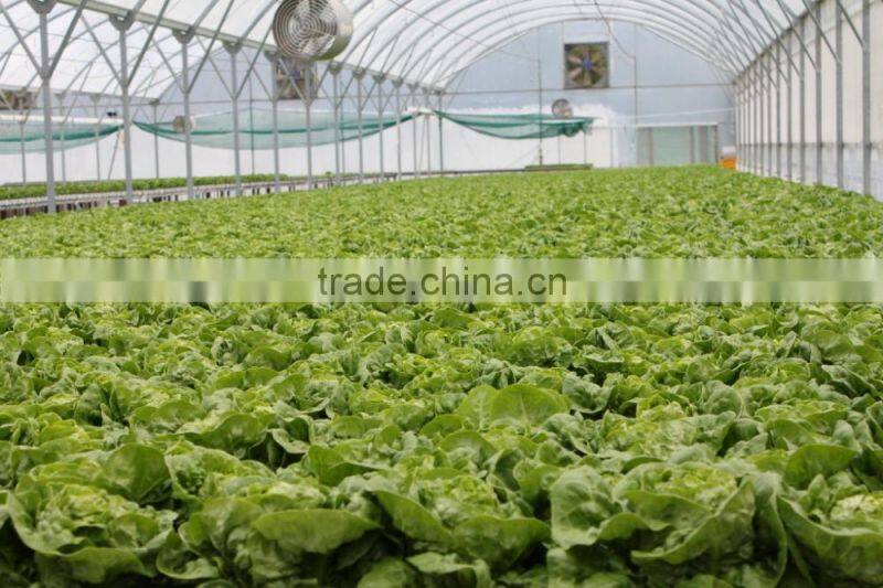 NFT Hydroponic Gully & Accessories