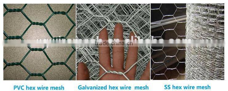 electro galvanized hexagonal wire mesh/hot dip galvanized hexagonal wire mesh
