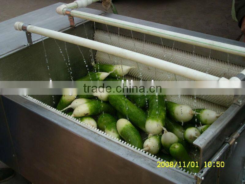 Cleaning Machine for Vegetables and Fruits