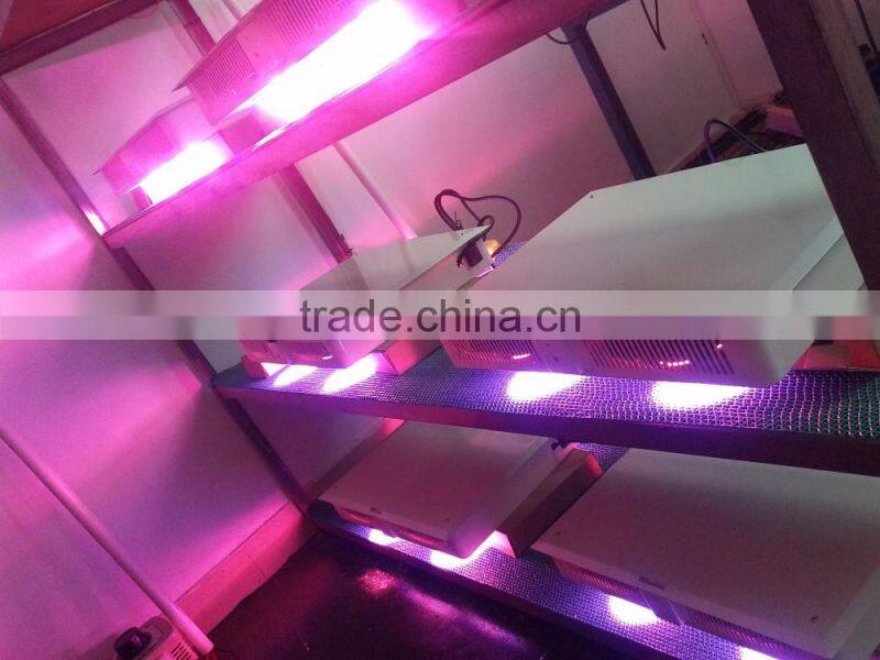Professioanl grow light bulbs 600W led grow light bulbs