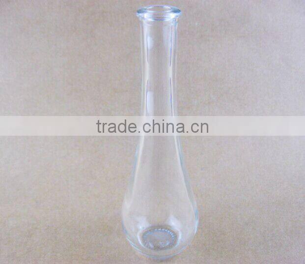 clear glass vase / flower bottle