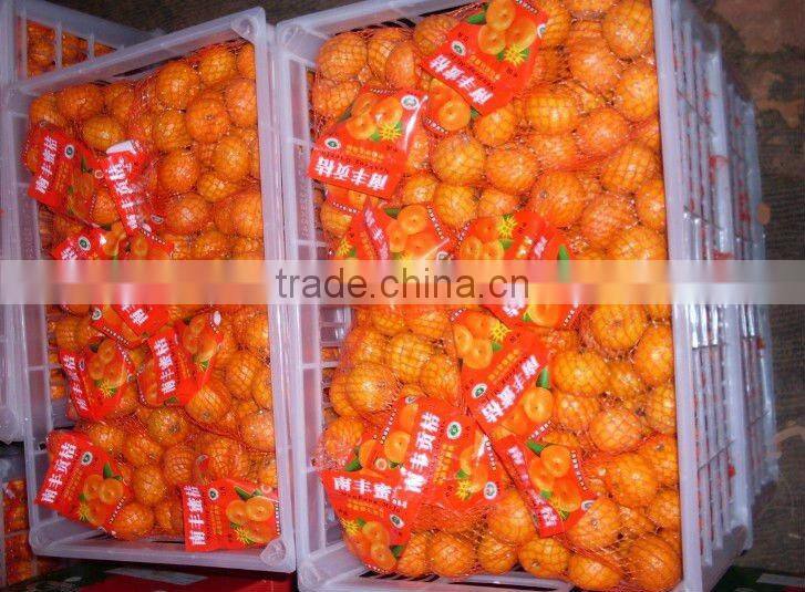 yongchun mandarin,Clementine orange