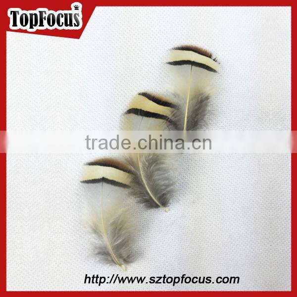 wholesale down pheasant Partridge Plumage Natural pheasant feathers prices