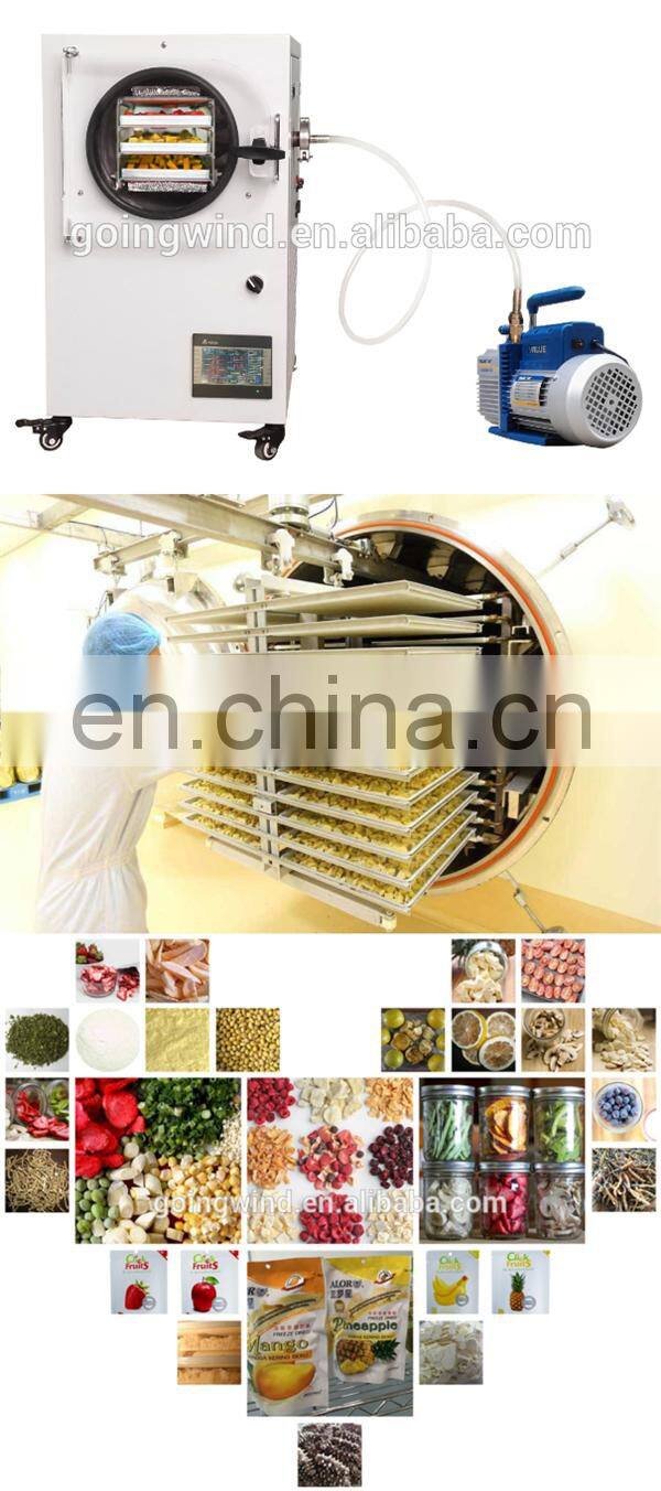 Commercial fruit vegetable high temperature heat pump dryer machine 70 80 c food drying oven dehydrator cheap price for sale