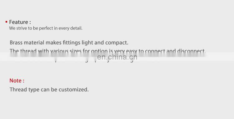 SNS BW Series pneumatic double male thread straight extension connector adapter brass quick coupler pipe fitting