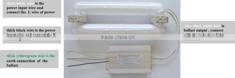 dimmer induction lamp