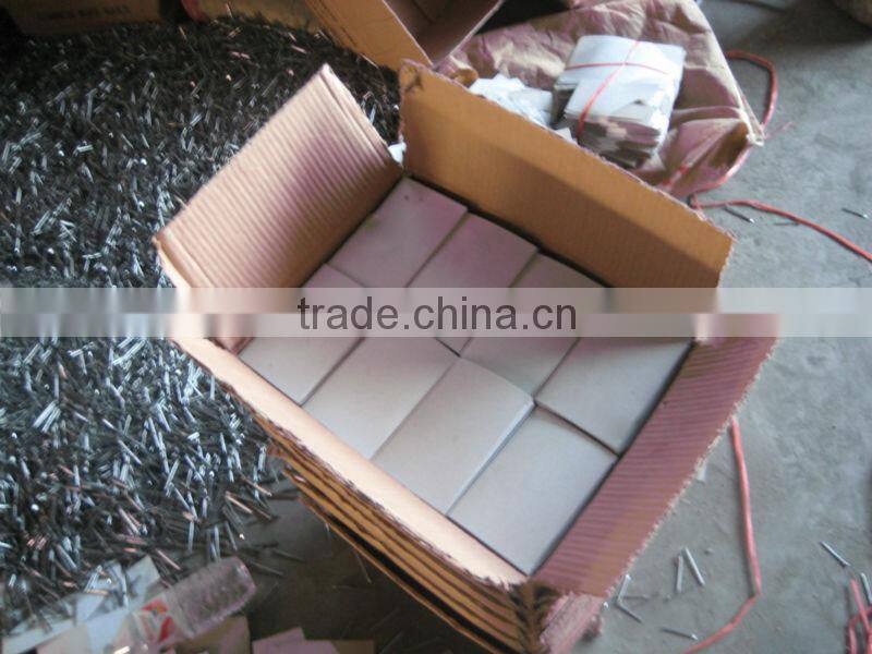 Galvanized Common Nails/Common Wire Nails/Poloshed Iron Nails