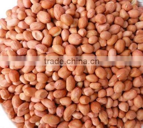 hot sale roasted and salted peanut made in China