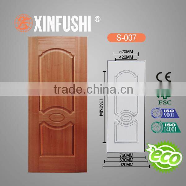 new design door skin