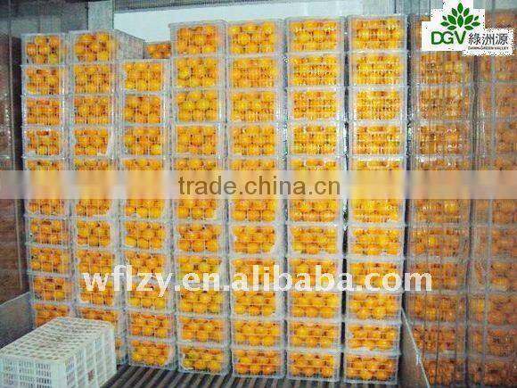 Fresh chinese Mandarin Orange