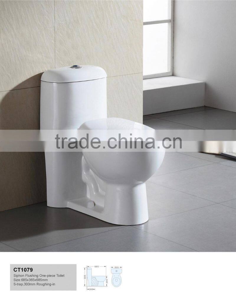 Siphon Flushing One Piece Toilet