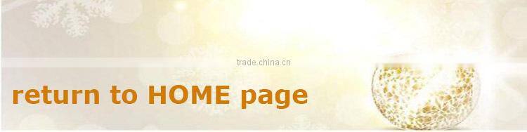 Frozen silver pomfret