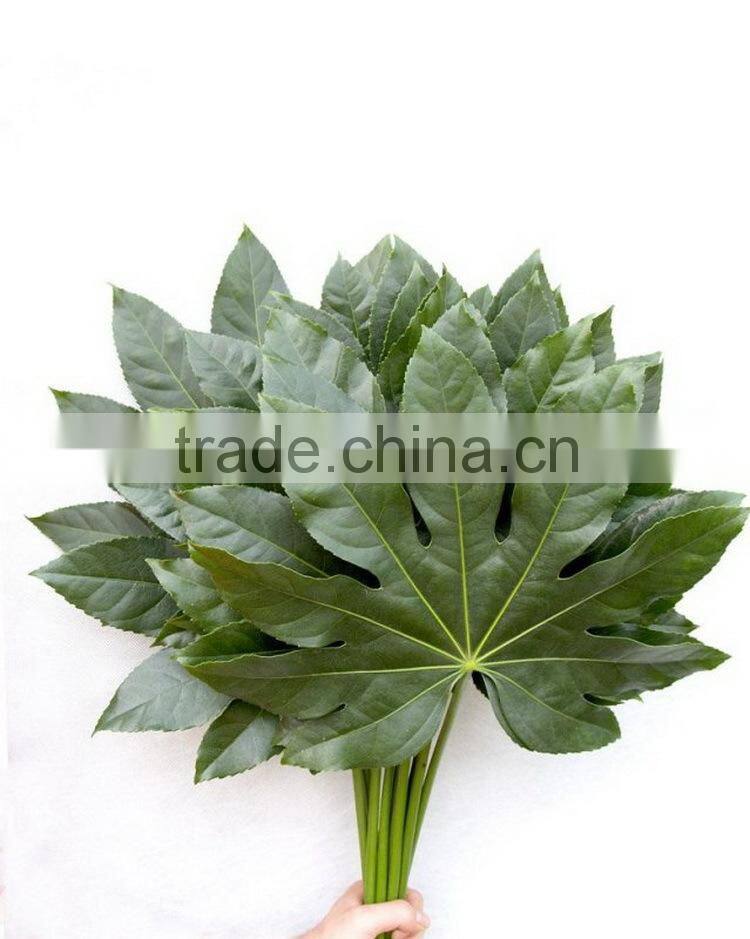 Most popular hot sale 2015 most realistic cut foliage