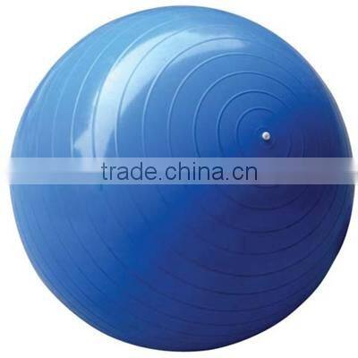 65cm Fitness Yoga Ball