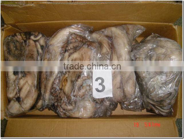 Seafrozen Octopus Whole Round from Morocco