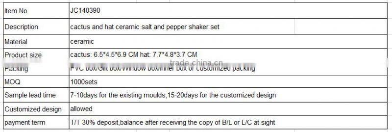 cactus and hat ceramic salt and pepper shaker