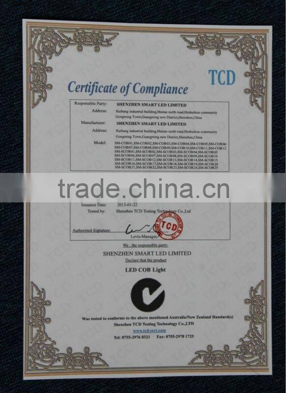 15W COB LED Par 38 down light