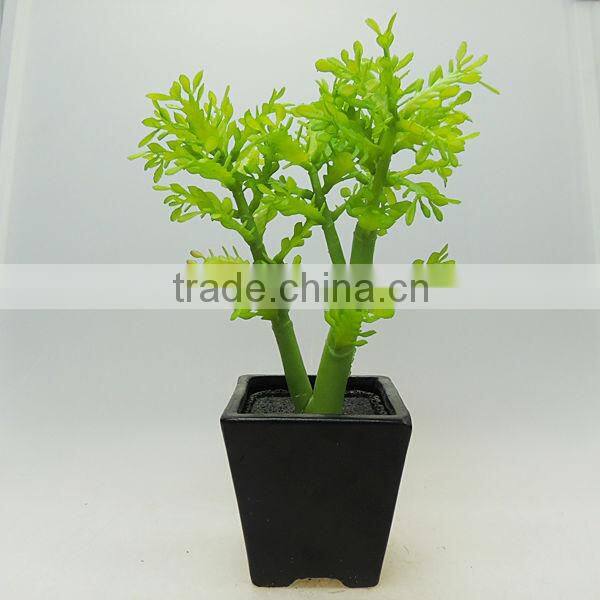 New style ceramic vase decorating plants