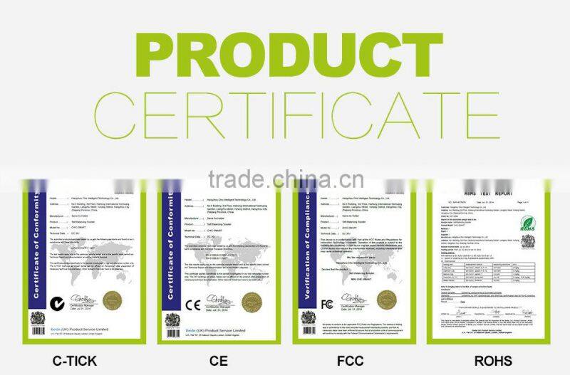 casual adults used self balancing electric chariot