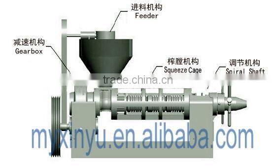 1.3tons/24hour capacity SCREW OIL PESS with oil filter factory price extractor