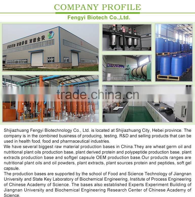 GMP Manufacturing Pure Natural Refined Pumpkin Seed Oil