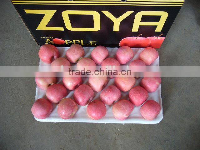 Fresh Fruit Apple for India Market