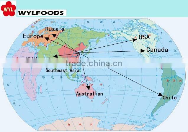 Bulk Frozen Peeled Chestnuts for sale