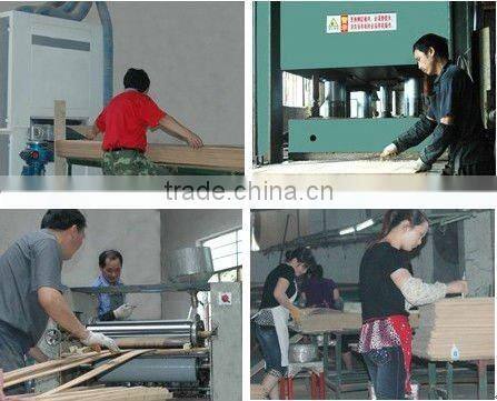 Painting Solid Bamboo Door